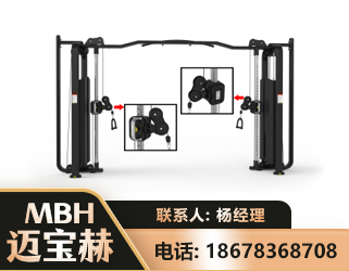 七台河大飞鸟训练器